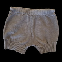 Load image into Gallery viewer, alexander wang shorts
